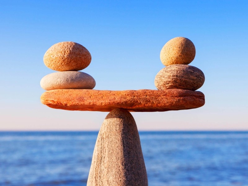 Hoa hồng dài hạn K8vn